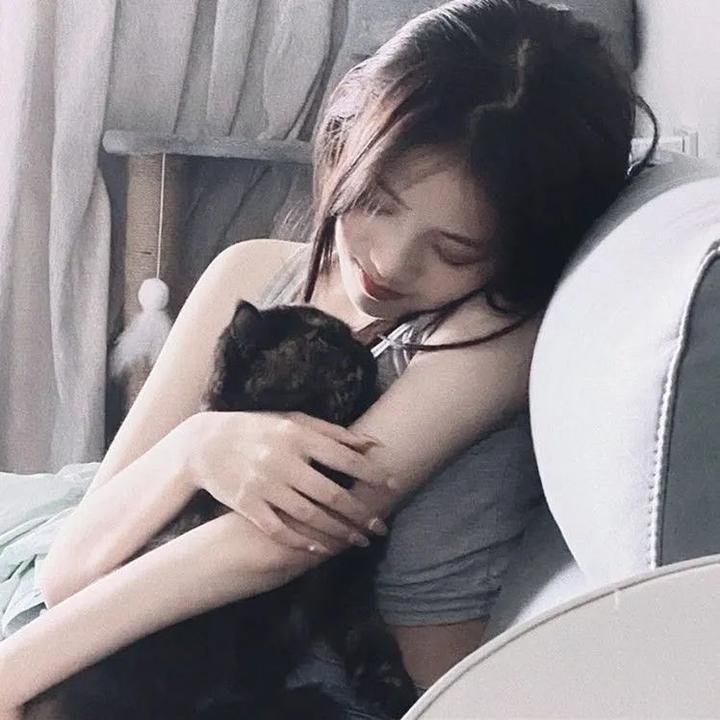 隆美尔宝藏